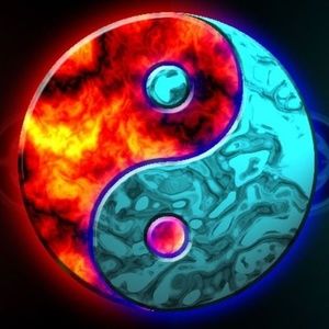 Meet your Posher, Darlene